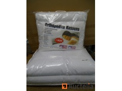 100 Quilters 1 person 4 seasons, 100 washable Orthopedica pillows 50x 60