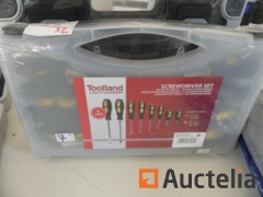 Box with sockets 25 parts Perel Pro HSETPRO11, screwdriver set 8 parts Toolland HST08