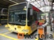 REF: 5703-articulated Buses Mercedes-Benz Citaro LE (2009-491.720 km)