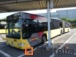 REF: 5704-gelede Autobussen Mercedes-Benz Citaro LE (508.945 km)